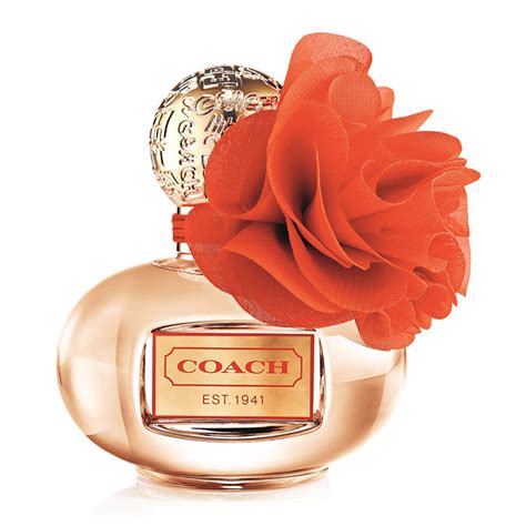 coach poppy perfume dupe|coach poppy blossom perfume macy's.